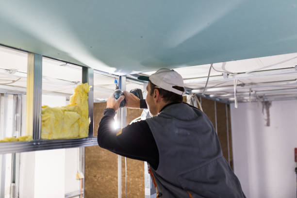 Best Specialized Insulation Services in Hartland, WI