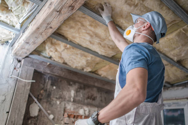 Best Insulation Maintenance and Repair in Hartland, WI