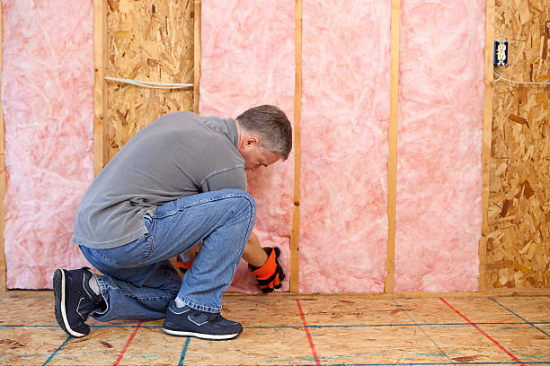 Best Eco-Friendly Insulation in Hartland, WI